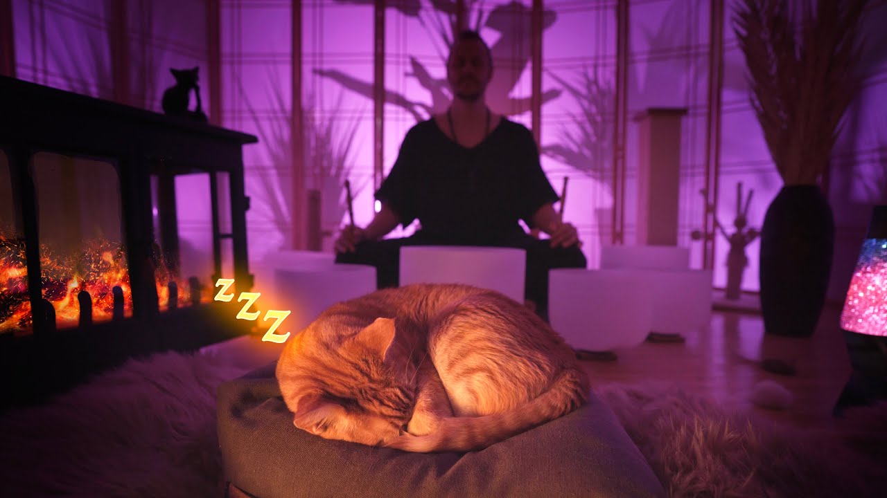 Fireplace Sound Bath Music for Cats | Animal Anxiety & Sleep Music | Singing Bowl Meditation Music