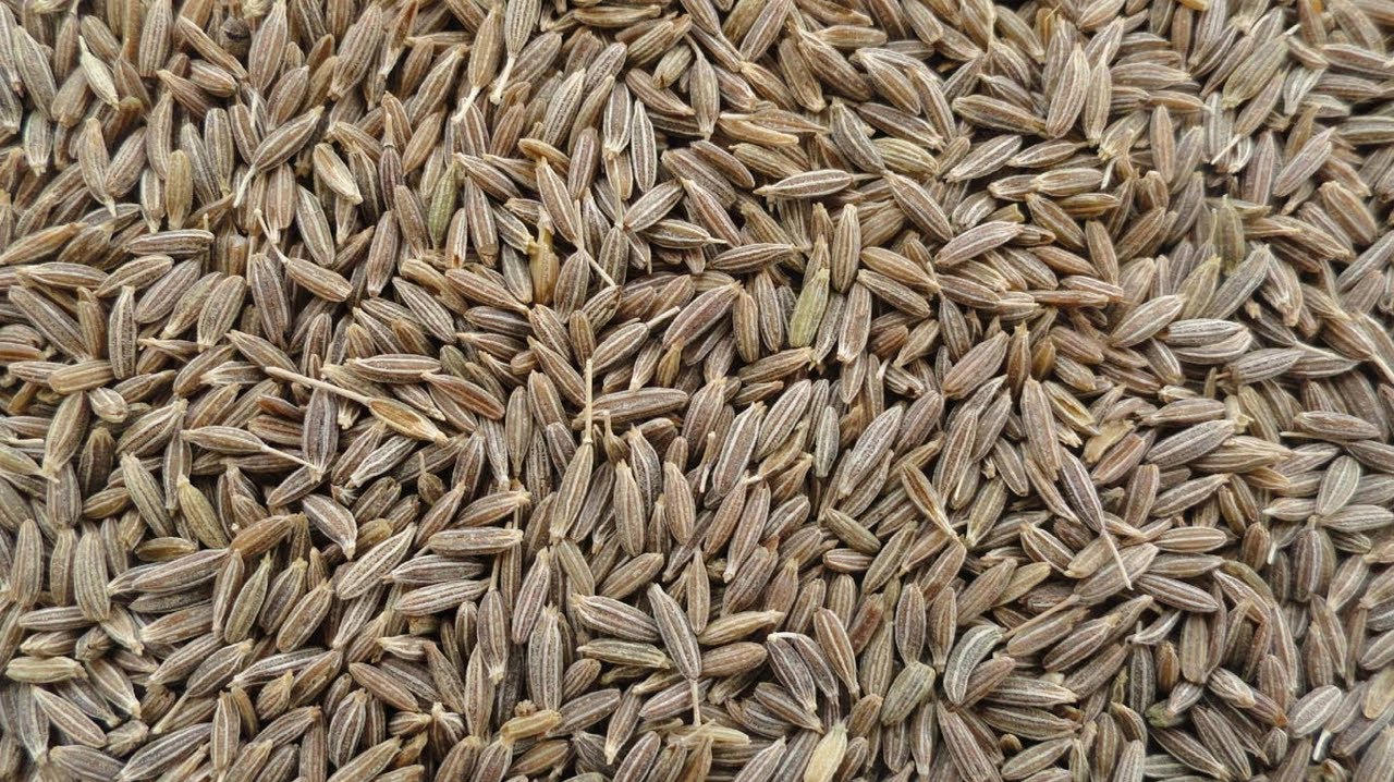 Top 10 Healthy Reasons to Eat Cumin - YouTube