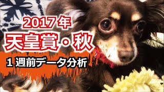 【1週前G1予想】2017年 天皇賞・秋のデータ分析動画【星野るり】