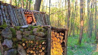 видео: Bushcraft Shelter Camping; Строительство секретного убежища для выживания. Дом на дереве с камином картинка: Bushcraft Shelter Camping; Строительство секретного убежища для выживания. Дом на дереве с камином