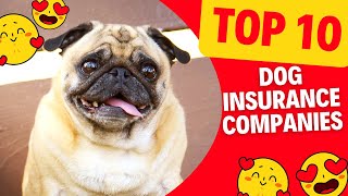 Top 10 Dog Insurance Companies in 2023 🐶[Detail Reviews] 🐶Cost & Covers