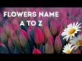 Flowers names for kids A to Z | BDKids