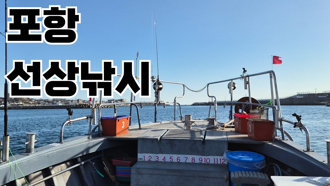 포항에서 배를 타면 어떤 친구들을 만날까