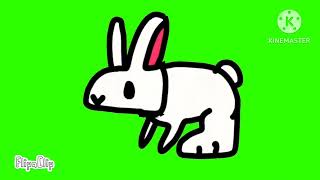 bunny green screen