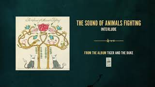 The Sound of Animals Fighting "Interlude"