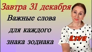 :   31     .      ...  ...