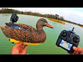 Spying on Pond Wildlife with RC Duck Decoys!