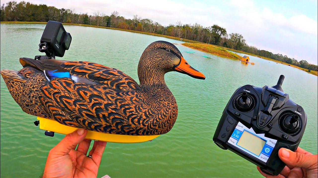 Spying On Pond Wildlife With RC Duck Decoys YouTube Spying On Pond Wildlife With RC Duck Decoys YouTube