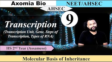 Molecular Basis of Inheritance|Lecture 9| Transcription Process| Dr. Rajib Borah| Axomia Bio