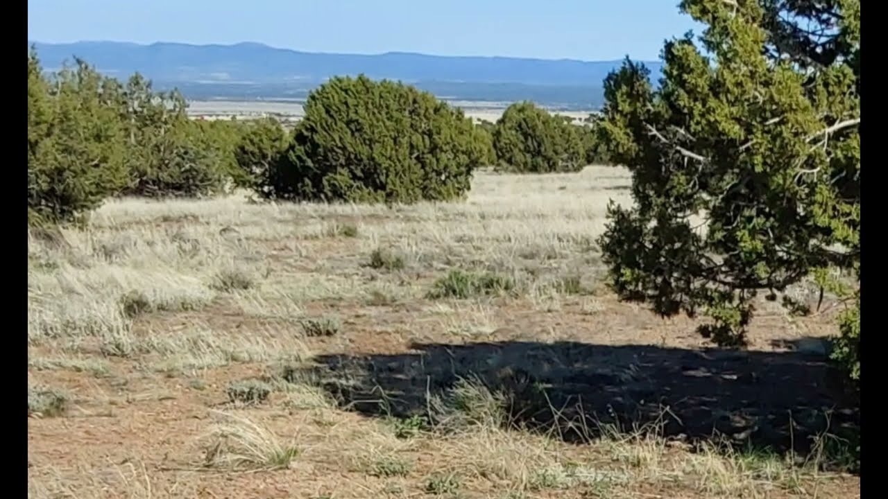 Hikers Base Camp Retreat - Ash Fork AZ - 16 Acres Hillcrest - Land For Sale by Owner