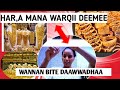 Har A Mana Warqii Deemee Wannan Bitee Dhufe Daawwadhaa Har A Mana Warqii Deemee Wannan Bitee Dhufe Daawwadhaa