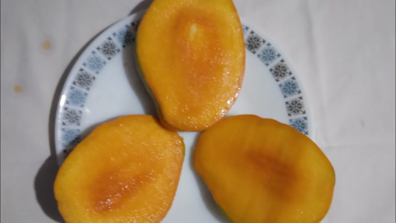 𝗙𝗜𝗥𝗦𝗧 𝗥𝗜𝗣𝗘 𝗠𝗔𝗡𝗚𝗢 𝟮𝟬𝟮𝟲 #mango #sweet #tree #tasty #trending #trend 
