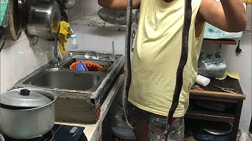 Rắn hổ hành nấu nước dừa |Điện Nguyễn vlog