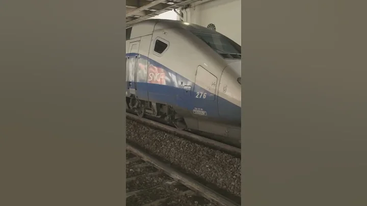 Gare du Nord's International Connectivity #garedunordparis #paris #tgv #france #fyp  #railway