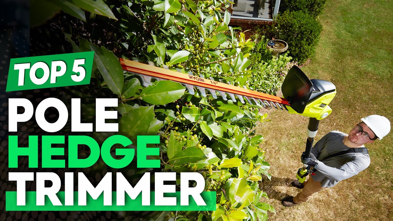 Best Electric Pole Hedge Trimmer 2024 for Pruning & Trimming Branches