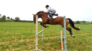Alfie jumping in a big field = TANK