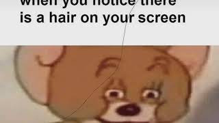 When you notice theirs a hair on your screen (meme)