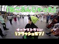 ストピで「ねこふんじゃった」弾いたらいつのまにかオーケストラで演奏に!?