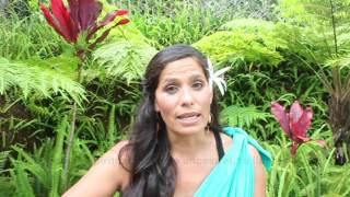 The Teachings of Ho'omana Lomi Lomi Massage - Spanish