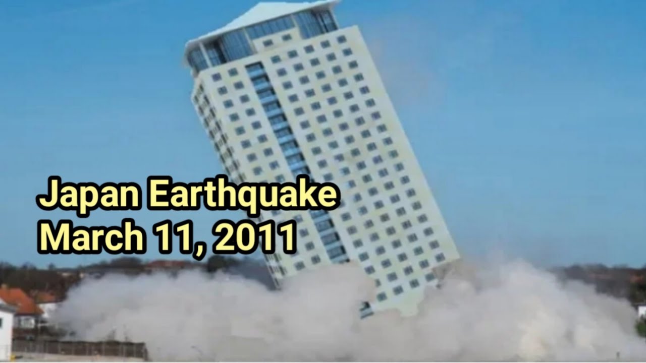 japanese earthquake and tsunami 2011 case study