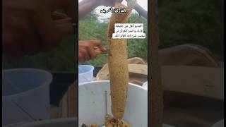 عسل النحل الجبلي الخام عسل_سدر عسل_النحل