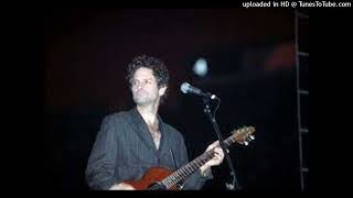 Lindsey Buckingham - Doing What I Can (Live 1993)