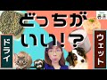 【獣医が解説】ドライフード vs 缶（ウェットフード）！どちらが良い？良い点とダメな点！