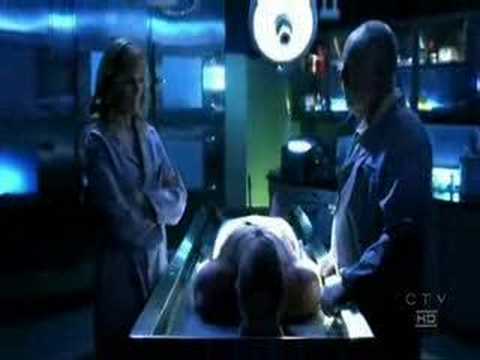 CSI catherine/sara/l...  - this ones for the girls