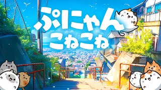 ねこにゃんにゃんにゃん♪です☆ ネコ、ニャンニャンニャン - Single - あのねのねのアルバム