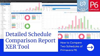 Celebrity Detailed Schedule Comparison Report XER Tool: How to Compare Two Schedules of Primavera P6 Net Worth