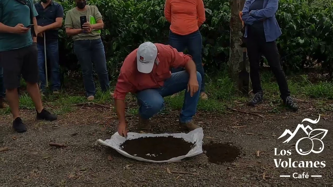 como tomar una muestra de tierra con el barreno en la finca del ICAFE ...