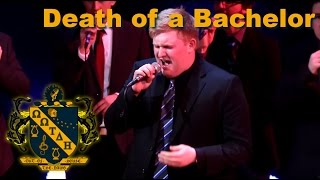 Death of a Bachelor - A Cappella Cover | OOTDH