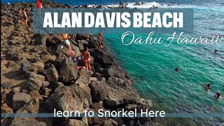 Hawaii best snorkeling spot for beginners.  Oahu’s Alan Davis beach.