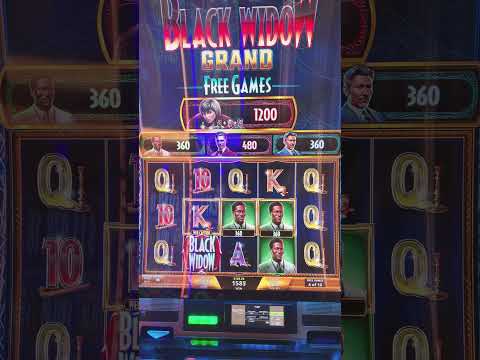 Casoola Casino Login | Play Casino Online in Canada