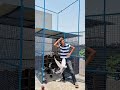 #pigeonlover #minivlog #kabutar #kabutar #minivlogaesthetic #pigeon #minivlogandroid #dailyvlog