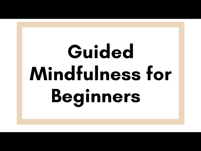 The Transformative Power of Meditation for Mind and Body Wellness