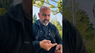 Samir Dayii Abune Olub Beyenin Zehmet Olmasaşfet