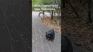 Усть-Каменогорск парк Кайсенова 2 часть