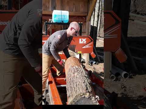 Turning Logs into