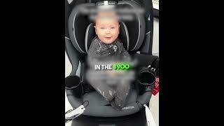 This Baby Just Picked The Most Expensive Buggy