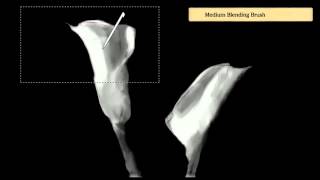 Art Academy: Home Studio - Lesson 2