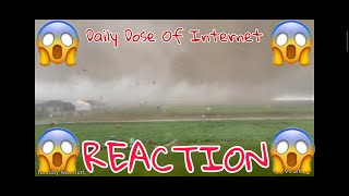 (1) DAILY DOSE OF INTERNET [ REACTION ]