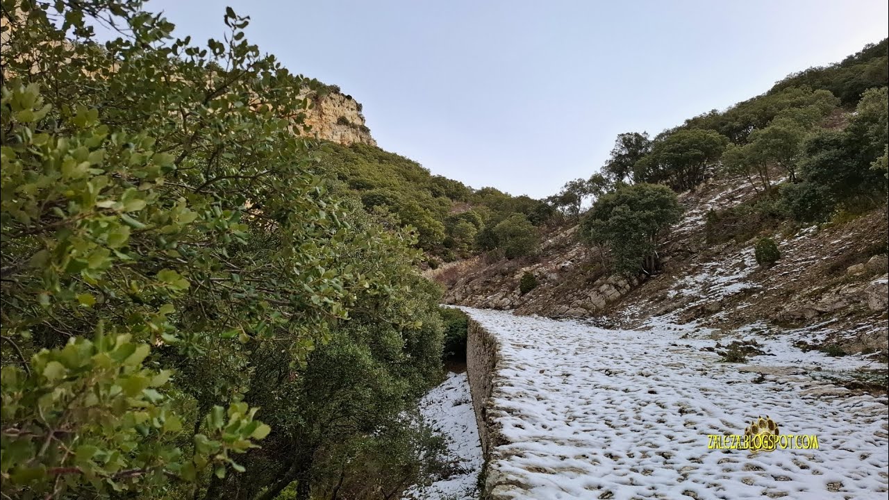 Calzada de El Almiñé (Merindad de Valdivielso)