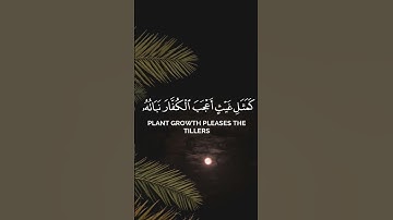 سورة الحديد - حاتم المالكي