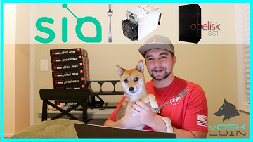 Investing in SIAcoin? What YOU NEED to KNOW! + Antminer A3 + Obelisk SC1 ASIC Miner