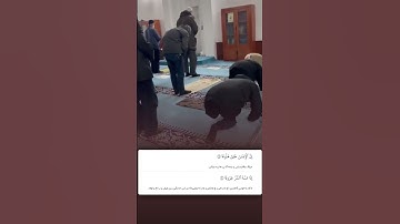 شيخ رعد الكردي حالات واتس اب | سورة: (المعارج: ١٩)