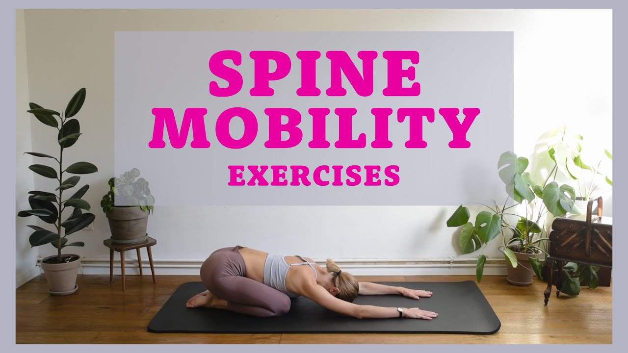 BACK RELIEF & SPINE MOBILITY PILATES CAT STRETCH EXERCISES CAT