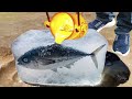 1000 Year Old Frozen Fish vs Lava