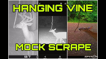 HANGING VINE MOCK SCRAPE | HOW TO VIDEO