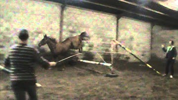 Tsar hero x zandor z